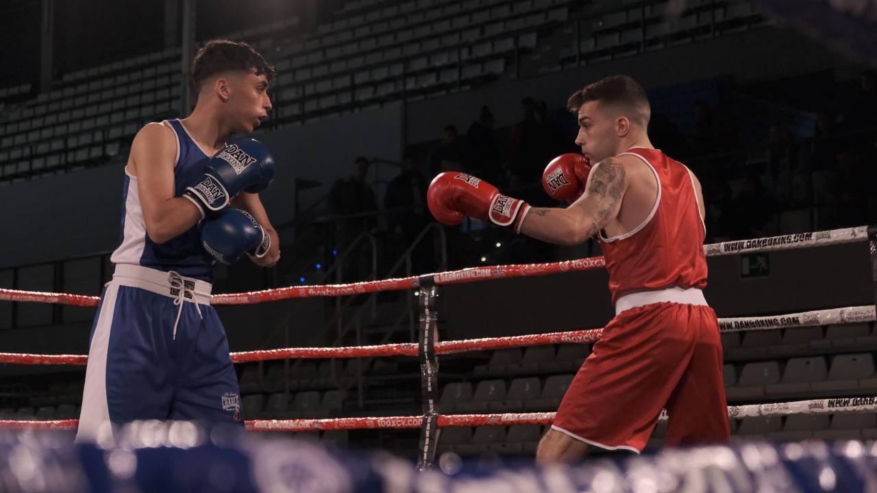 tipos de boxeo